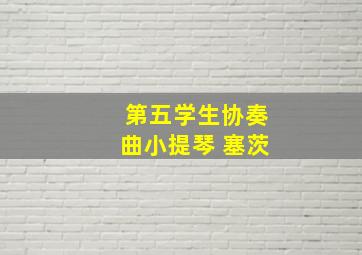 第五学生协奏曲小提琴 塞茨